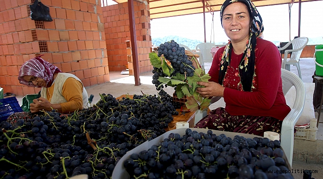 Cesaretiyle örnek oldu