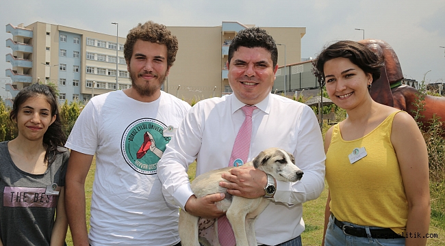 FestPati Buca ile hayvan haklarına dikkat çekilecek