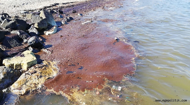 “İZMİR’DE FUEL OİL SAHİLE VURDU”