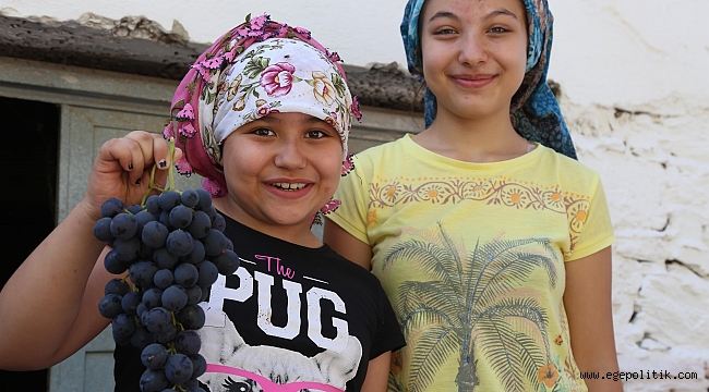 KAVACIK, ÜZÜM FESTİVALİ'NE HAZIR!