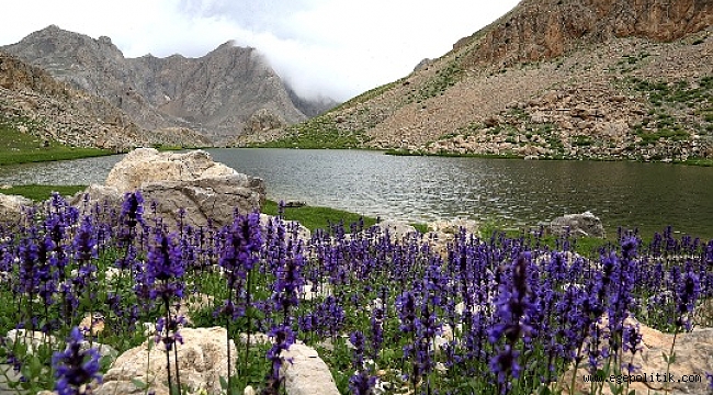 TUNCELİ BELEDİYE MECLİSİ`NDEN ANLAMLI KARAR