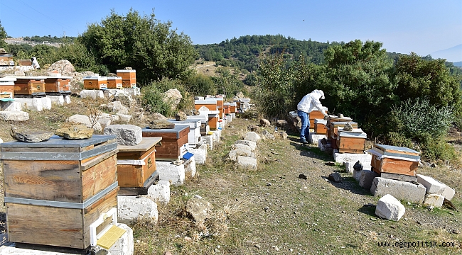Bornova’da bal hasadı