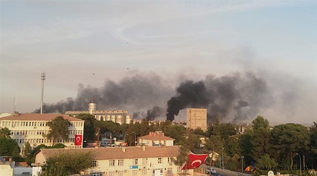 Harekât dünyanın gündeminde: 'Operasyonu durdurun' çağrısı