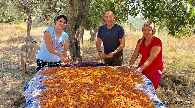 Urla Tarhana Şenliği başlıyor