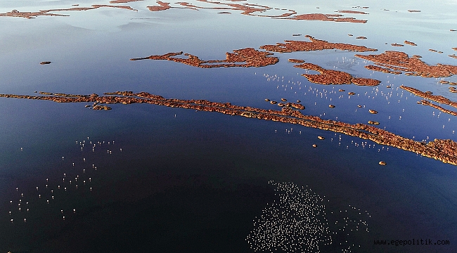 Gediz Deltası UNESCO Yolunda