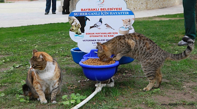 Can dostlar Bayraklı'da güvende