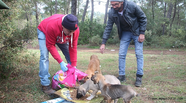 Can Dostlara Mama Desteği