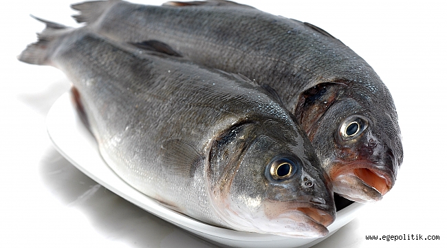 Levrek bahane, spor ve eğlence şahane” diyenler… Haydi Levrek Avına!