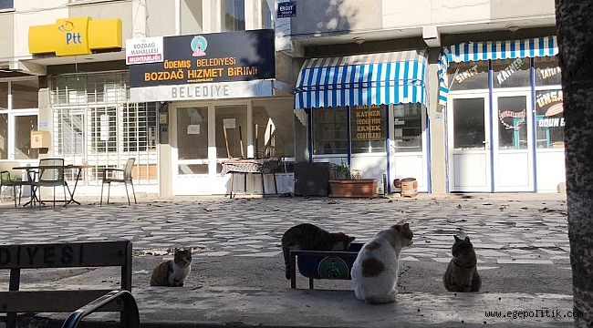 Ödemiş Belediyesi yaylalardaki sevimli dostları unutmadı