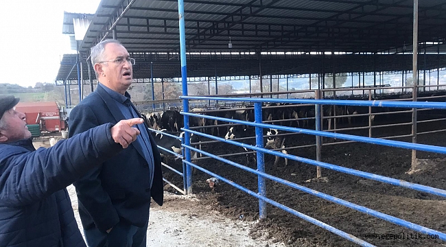 Sertel: Bir dönem soğan deposu basanlar şimdi et depoluyor