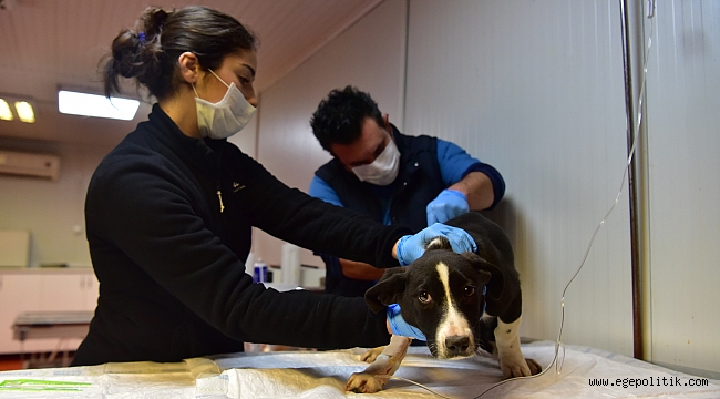 Başkan Mustafa İduğ:    “Can dostlara sahip çıkmak   zorunluluk değil, insani görevdir”