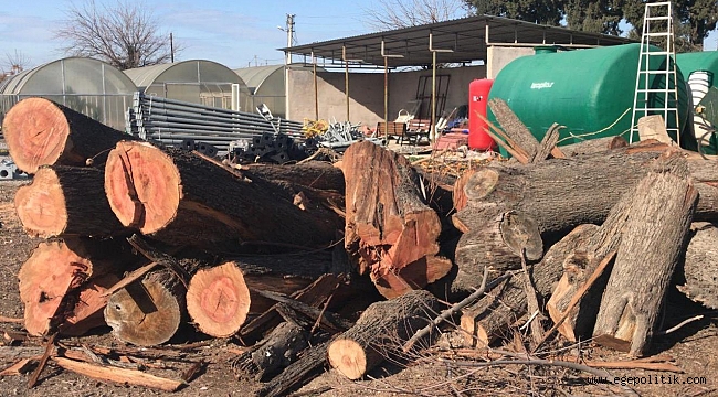 Bornova Belediyesi’nden sıcak dokunuş