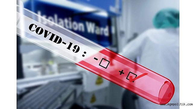 ABD' de virüs kaynaklı ölüm sayısı 2 bini aştı