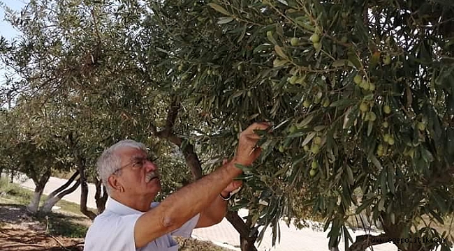 Beko: Tarıma destek verilmemesi dehşet tablosudur!