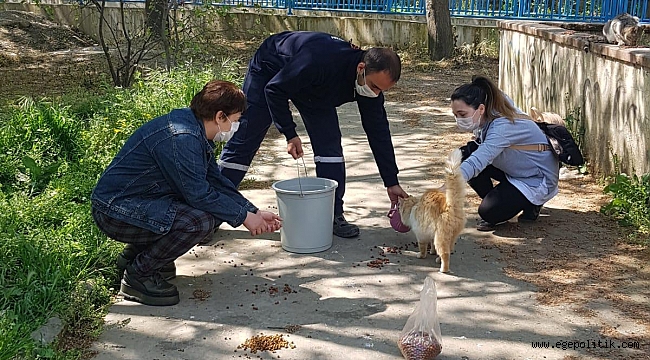BU GÜNLER HALKIN YANINDA OLMA ZAMANI