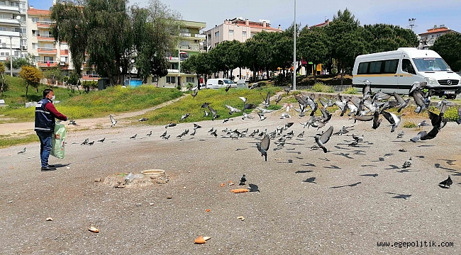 Karabağlar Belediyesi kuşları bile unutmuyor!