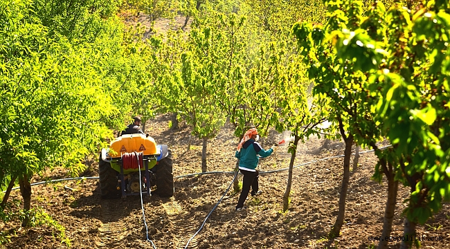 Bornova Belediyesi yanınızda