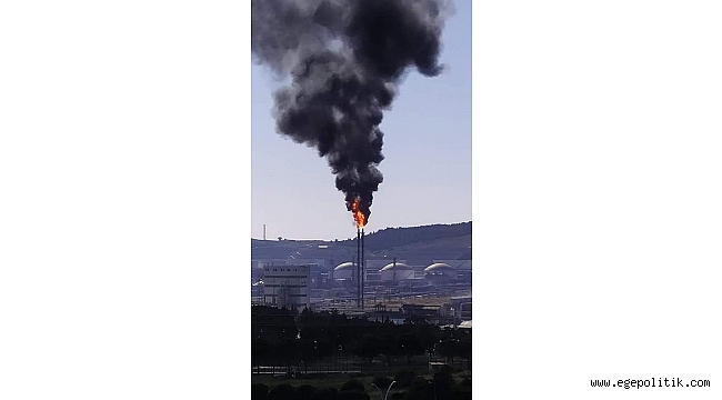 CHP’li Polat’tan ‘Petkim’ açıklaması