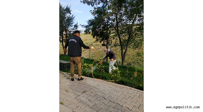 Çiğli parklarında çim ve bitkilere özel bakım