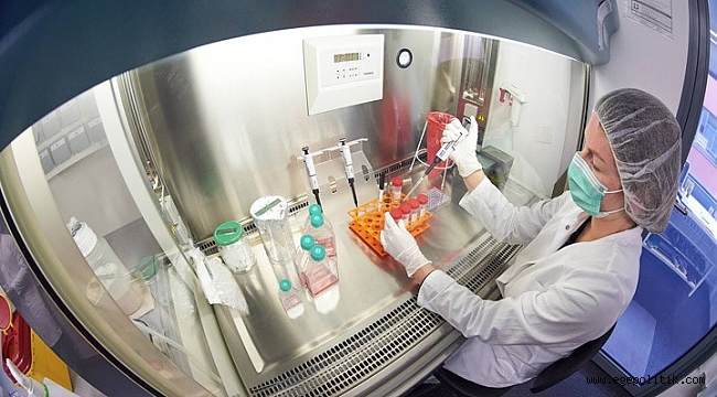 Dünya Sağlık Örgütü: Koronavirüs aşısı ilk olarak 3 gruba verilecek