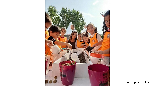 İzmir’in meşe ormanları yeniden yeşeriyor