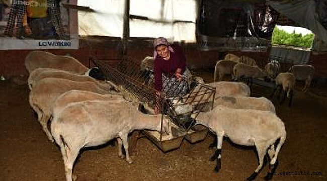 İzmir kırsalında “başka bir tarım” modeli gelişiyor