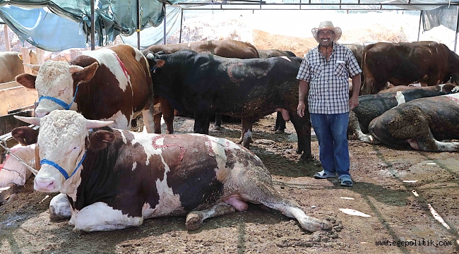 Bayraklı Belediyesi Kurban Bayramı’na hazır