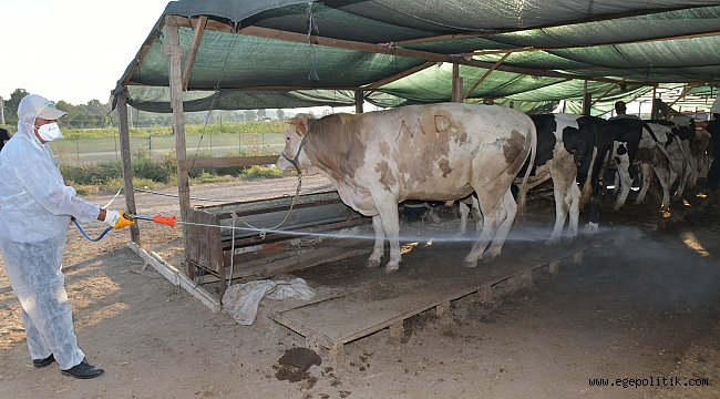 Çiğli Kurban Bayramına Hazır