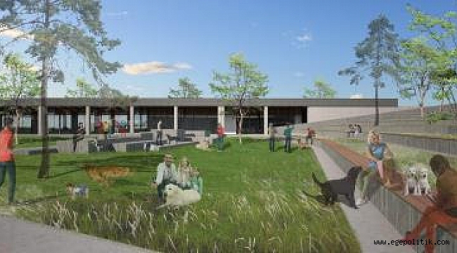 İzmir sokak hayvanları için rehabilitasyon ve sahiplendirme merkezi kuruluyor