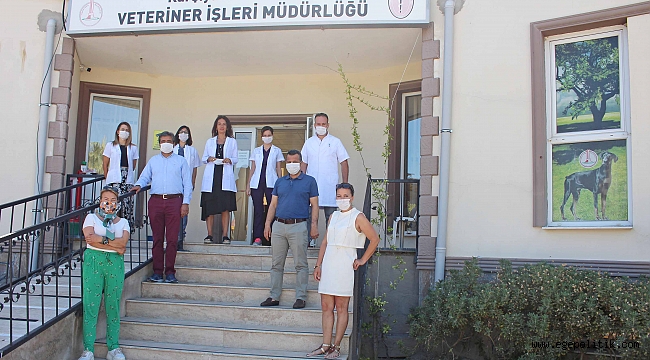 Karşıyaka ve Çiğli’den ortak kısırlaştırma hamlesi