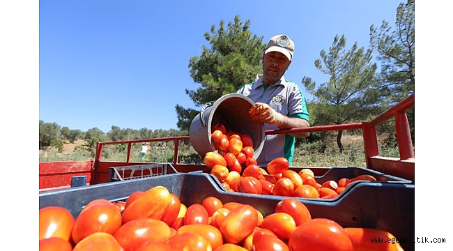 Buca tarımsal kalkınmanın mahsullerini 1255 aileyle paylaştı