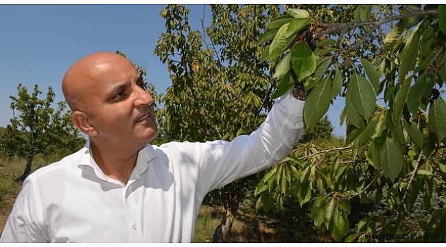 Mahir Polat' tan "kooperatif" vurgusu