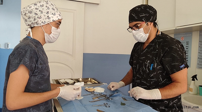 Narlıdere’de can dostlar sahipsiz değil!