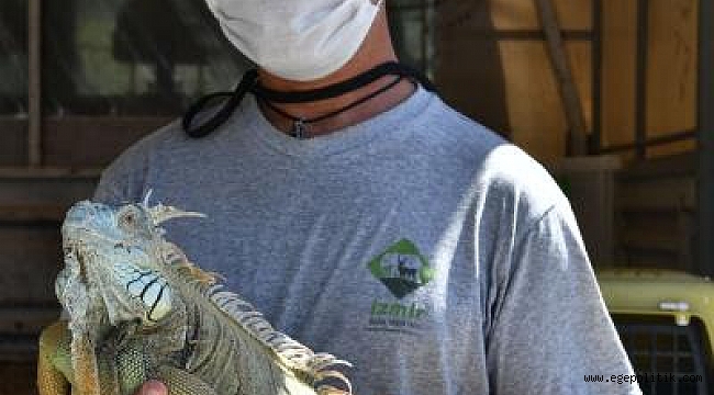 İzmir Büyükşehir Belediyesi Tarsus'a 57 yaban hayvanı gönderdi