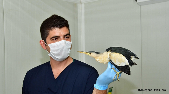 Soyu tükeniyordu, Narlıdere'de bulundu!