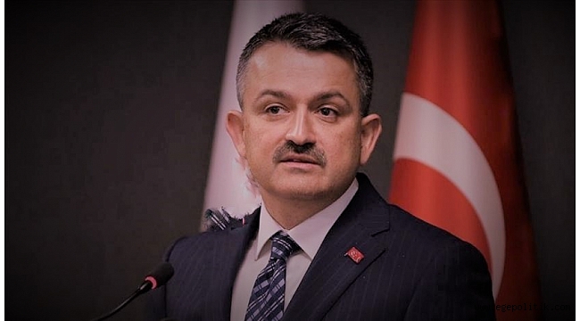 Bakan Pakdemirli Hatay' daki yangınla ilgili bilgi verdi