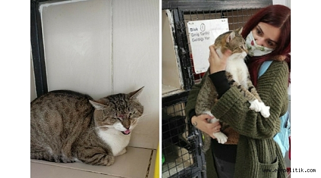 Bayraklı Belediyesi deprem mağduru can dostlara da sahip çıktı