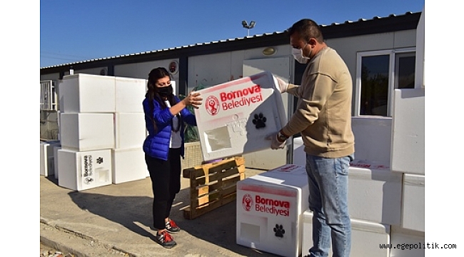 Can dostlar Bornova' da kışın da yalnız değil