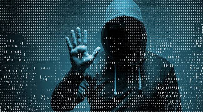 AİHM'ye siber saldırı