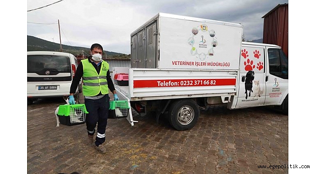 Bayraklı'da depremzede hayvanlar da güven içinde yaşayacak