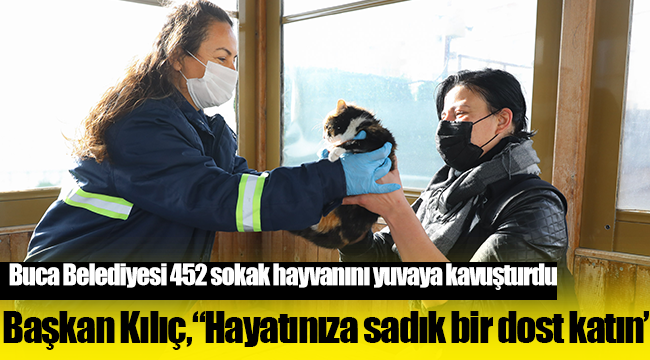 Buca Belediyesi 2020’de 452 sokak hayvanını yuvaya kavuşturdu