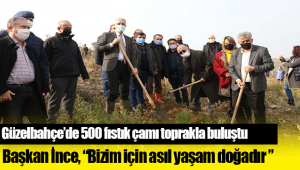 Güzelbahçe’de 500 Fıstık Çamı Toprakla Buluştu