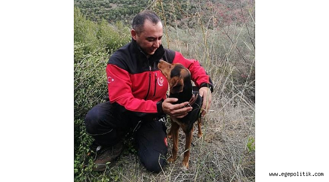 İtfaiye kuyudaki köpek için seferber oldu