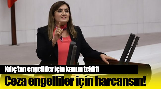 Kılıç'tan engelliler için kanun teklifi!