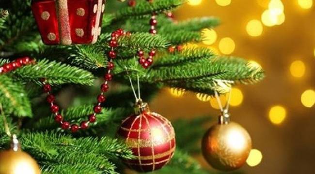 Yılbaşında ev kutlamalarına müdahale hukuka uygun mu?