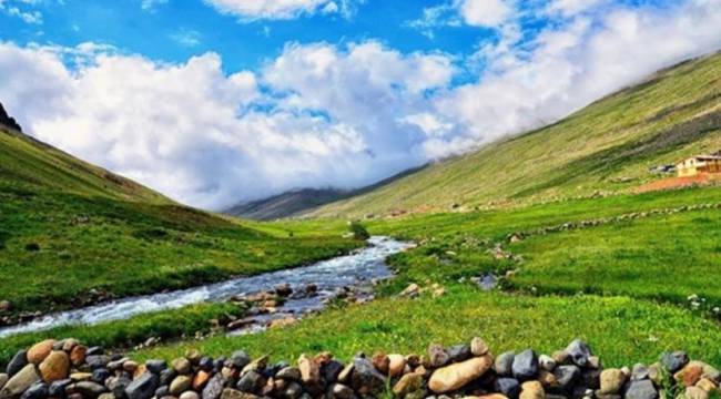 89,21 hektar alan yayla olmaktan çıkarıldı