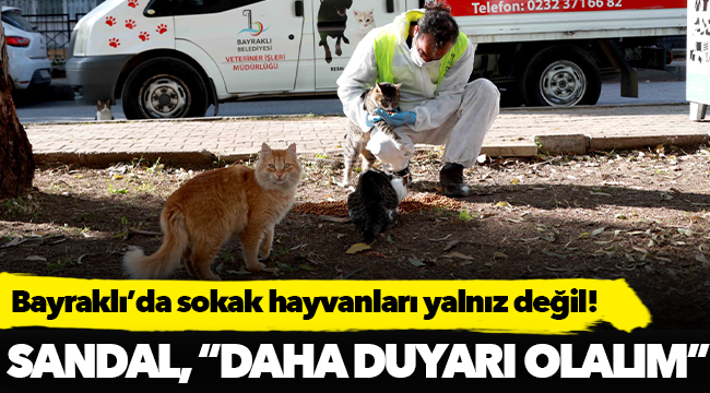 Bayraklı'da ekipler; sokak hayvanları için mama ve su bırakıyor