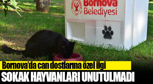 Bornova’da can dostlarına özel ilgi