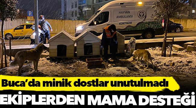 Buca Belediyesi, soğuk havalarda minik dostlarını unutmadı