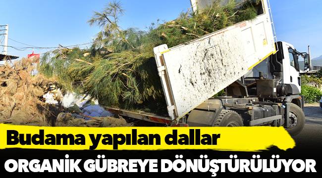 Budama yapılan dallar organik gübreye dönüştürülüyor